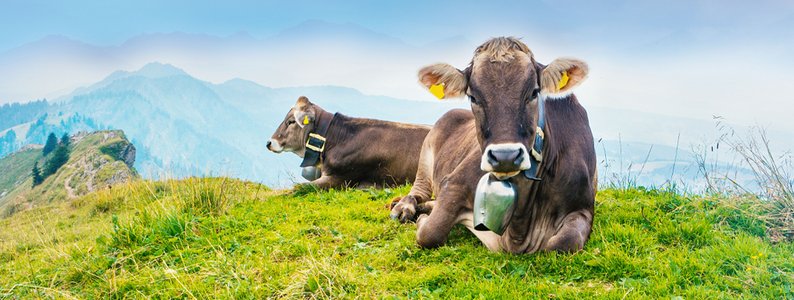 Agricultural supply